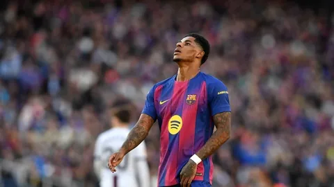 kaiyun·开云（中国）